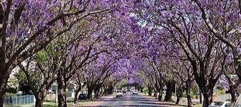 Yamba Tours And Charters - Accommodation Newcastle 6
