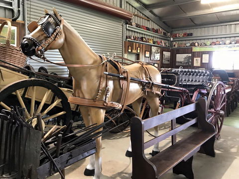 Yamba Tours And Charters - Accommodation Newcastle 9