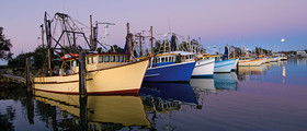 Yamba Tours And Charters - Accommodation Newcastle 14