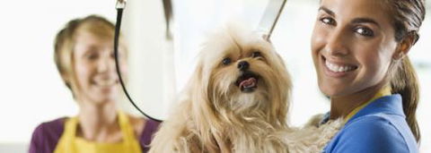 Port Stephens Pet Barn - Accommodation Newcastle 1
