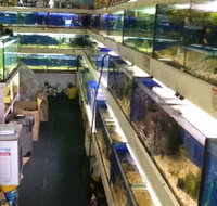 Clearwater Aquariums - Accommodation Newcastle