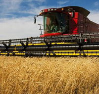 Quirindi Grain and produce - Accommodation Newcastle