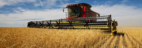 Quirindi Grain And Produce - Accommodation Newcastle 0