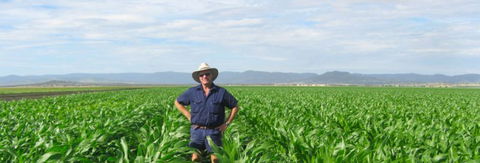 Quirindi Grain And Produce - Accommodation Newcastle 1