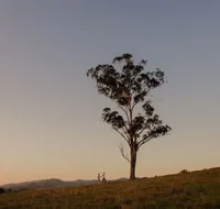 Faulls Ridge Winery - Accommodation Newcastle