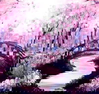Pink Forest - Boardwalk Bar 4.00-6.00pm - Accommodation Newcastle