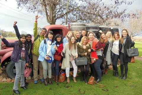 1/2 Day Swan Valley Wine Cheese & Chocolate Tour Inc Afternoon Cruise To Perth - Accommodation Newcastle 5