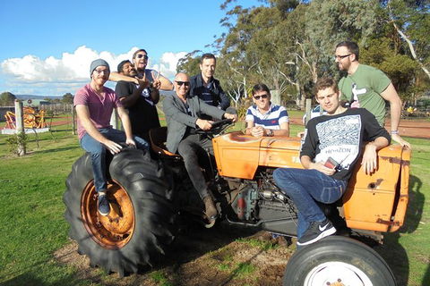 1/2 Day Swan Valley Wine Cheese & Chocolate Tour Inc Afternoon Cruise To Perth - Accommodation Newcastle 8