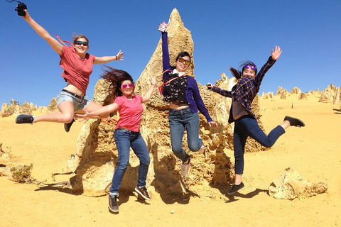 Pinnacles And Swan Valley Day Trip From Perth Including Caversham Wildlife Park, Vineyard Lunch, Pinnacles And Sandboarding - Accommodation Newcastle 0