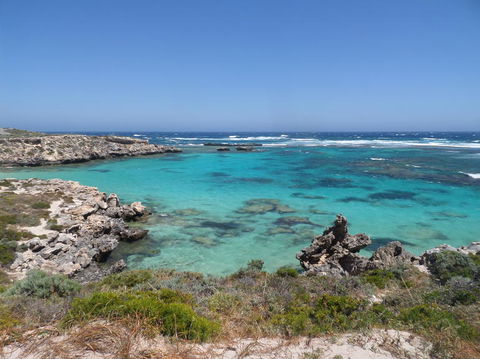 Rottnest Island Tour From Perth Or Fremantle Including Adventure Speed Boat Ride - Accommodation Newcastle 3