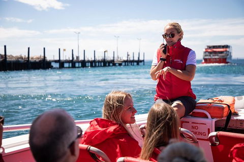 Rottnest Island Tour From Perth Or Fremantle Including Adventure Speed Boat Ride - Accommodation Newcastle 0