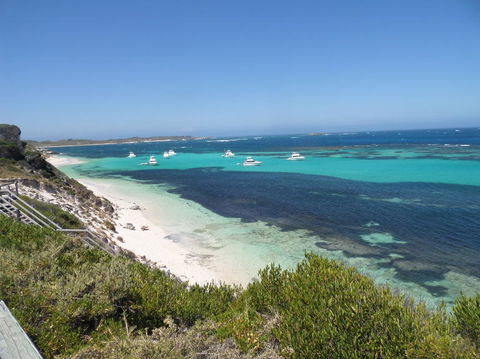 Rottnest Island Tour From Perth Or Fremantle Including Adventure Speed Boat Ride - Accommodation Newcastle 2