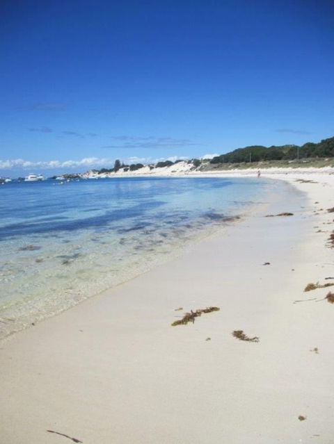 Rottnest Island Tour From Perth Or Fremantle Including Adventure Speed Boat Ride - Accommodation Newcastle 4