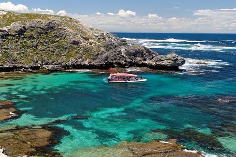 Rottnest Island Tour From Perth Or Fremantle Including Adventure Speed Boat Ride - Accommodation Newcastle 1