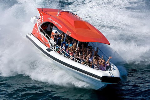 Rottnest Island Tour From Perth Or Fremantle Including Adventure Speed Boat Ride - Accommodation Newcastle 11