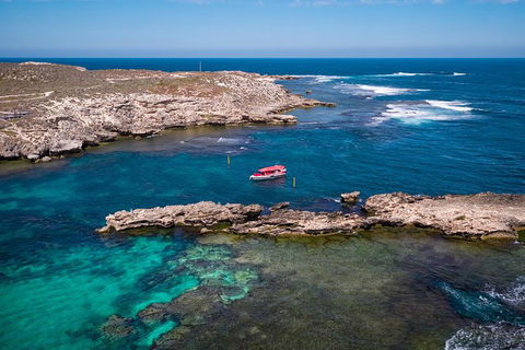 Rottnest Island Tour From Perth Or Fremantle Including Adventure Speed Boat Ride - Accommodation Newcastle 13