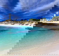 Rottnest Island Grand Tour Including Lunch and Historical Train Ride - Accommodation Newcastle
