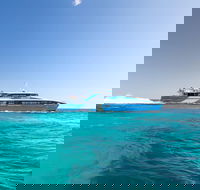 Fremantle to Rottnest Island Roundtrip Ferry Ticket - Accommodation Newcastle