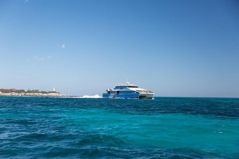 Fremantle To Rottnest Island Roundtrip Ferry Ticket - Accommodation Newcastle 6