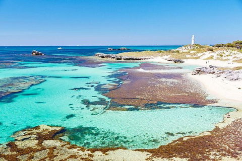 Fremantle To Rottnest Island Roundtrip Ferry Ticket - Accommodation Newcastle 5