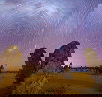 Pinnacles Sunset Dinner and Wildlife Experience a Small Group Tour - Accommodation Newcastle