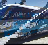 Rottnest Island Bayseeker Tour - Accommodation Newcastle