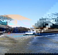 Murray River Lunch Cruise - Accommodation Newcastle