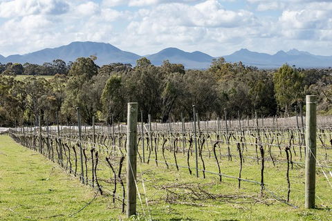 Mt Barker Grape Escape - Accommodation Newcastle 3
