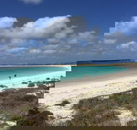 Abrolhos Island Half Day Fly and Flipper - Accommodation Newcastle