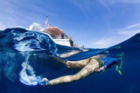 VIP Luxury Chartered Escapes, Exploring The Reef At Your Own Pace - Accommodation Newcastle 40