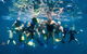 VIP Luxury Chartered Escapes, Exploring The Reef At Your Own Pace - thumb 13