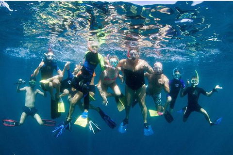 VIP Luxury Chartered Escapes, Exploring The Reef At Your Own Pace - Accommodation Newcastle 13