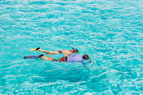 VIP Luxury Chartered Escapes, Exploring The Reef At Your Own Pace - Accommodation Newcastle 29