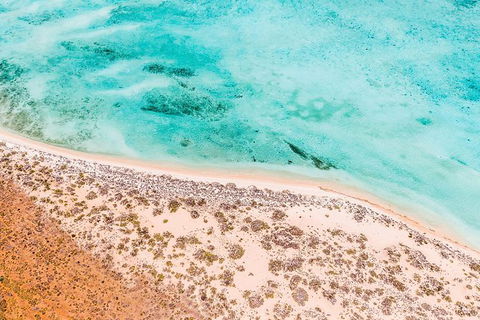 VIP Luxury Chartered Escapes, Exploring The Reef At Your Own Pace - Accommodation Newcastle 4