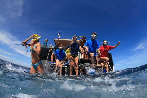 VIP Luxury Chartered Escapes, Exploring The Reef At Your Own Pace - Accommodation Newcastle 17