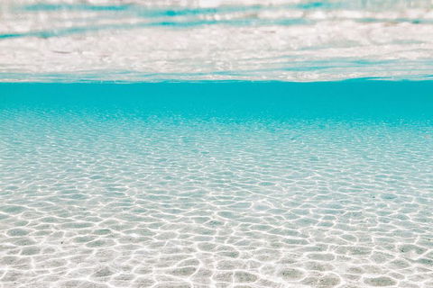 VIP Luxury Chartered Escapes, Exploring The Reef At Your Own Pace - Accommodation Newcastle 44