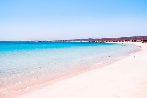 VIP Luxury Chartered Escapes, Exploring The Reef At Your Own Pace - Accommodation Newcastle 45