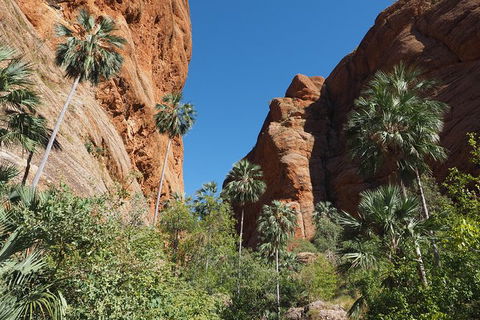 13-Day Kimberley Walking Tour Including Spectacular Gorges The Gibb River Road And The Bungle Bungles - Accommodation Newcastle 6