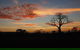 13-Day Kimberley Walking Tour Including Spectacular Gorges The Gibb River Road And The Bungle Bungles - thumb 4