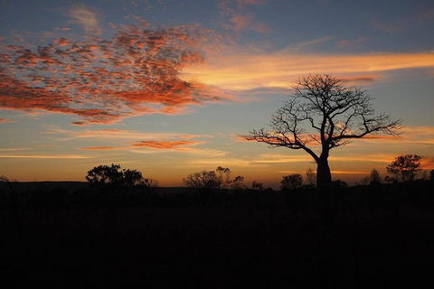 13-Day Kimberley Walking Tour Including Spectacular Gorges The Gibb River Road And The Bungle Bungles - Accommodation Newcastle 4