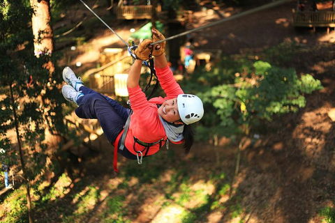 Trees Adventure Lane Poole Park - Treetop & Zipline Experience - Accommodation Newcastle 0