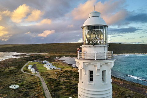 Cape Leeuwin Lighthouse Fully-guided Tour - Accommodation Newcastle 0