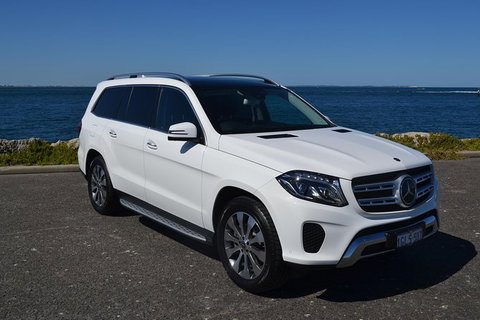 Swim With Wild Dolphins - Accommodation Newcastle 5