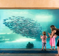 AQWA The Aquarium of Western Australia General Admission - Accommodation Newcastle