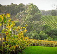 Half-Day Swan Valley  Wildlife Park Tour - Accommodation Newcastle
