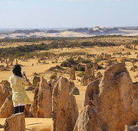 Full-Day Pinnacles Sandboarding and Yanchep National Park from Perth - Accommodation Newcastle