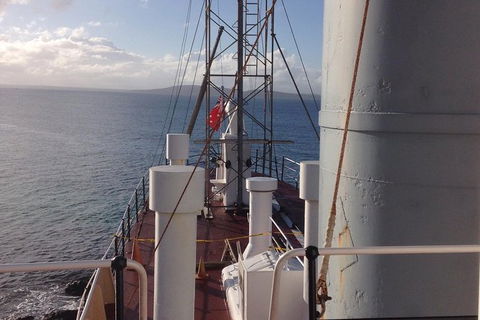 Albany\'s Whale Story - Accommodation Newcastle 7
