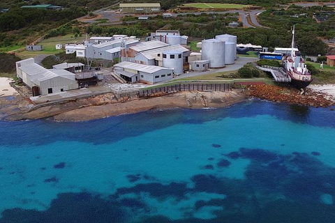 Albany\'s Whale Story - Accommodation Newcastle 6