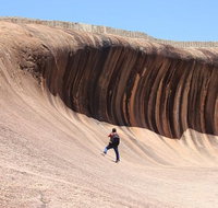 Wave Rock Half Day Air  Ground Tour - Accommodation Newcastle