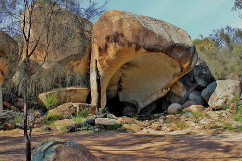 Wave Rock Half Day Air & Ground Tour - Accommodation Newcastle 4